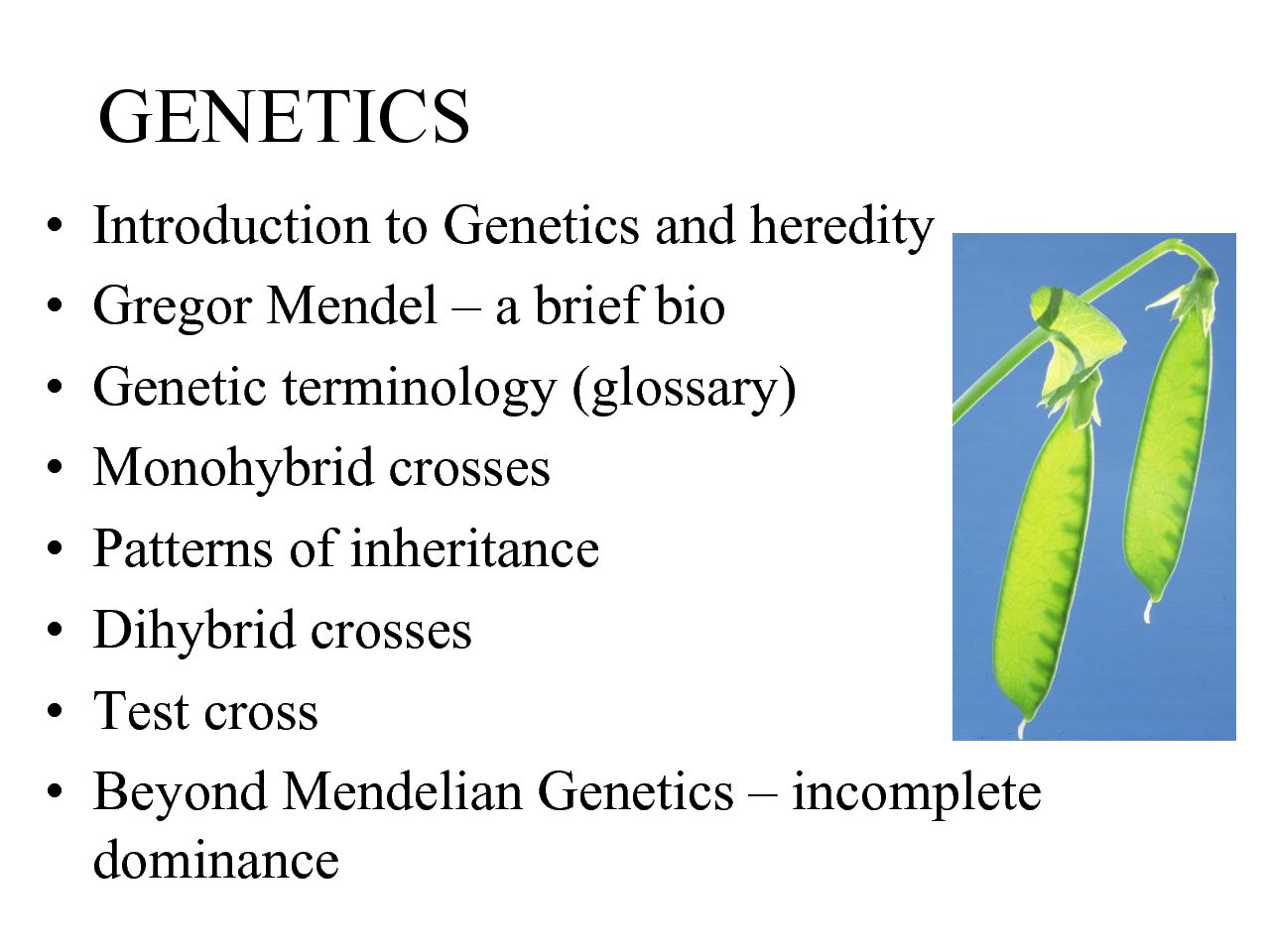 Mendelian Genetics Crossroads Academy   Mendelian Genetics Pdf 